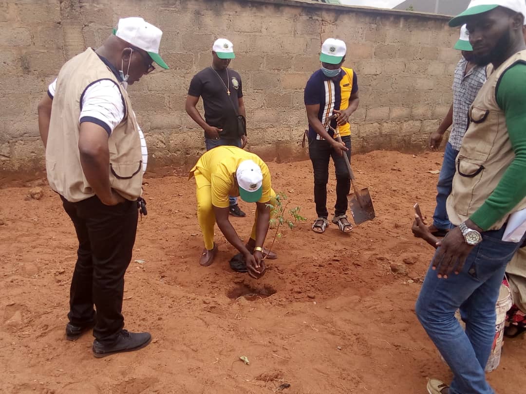 Environmental Conservation & Tree Planting